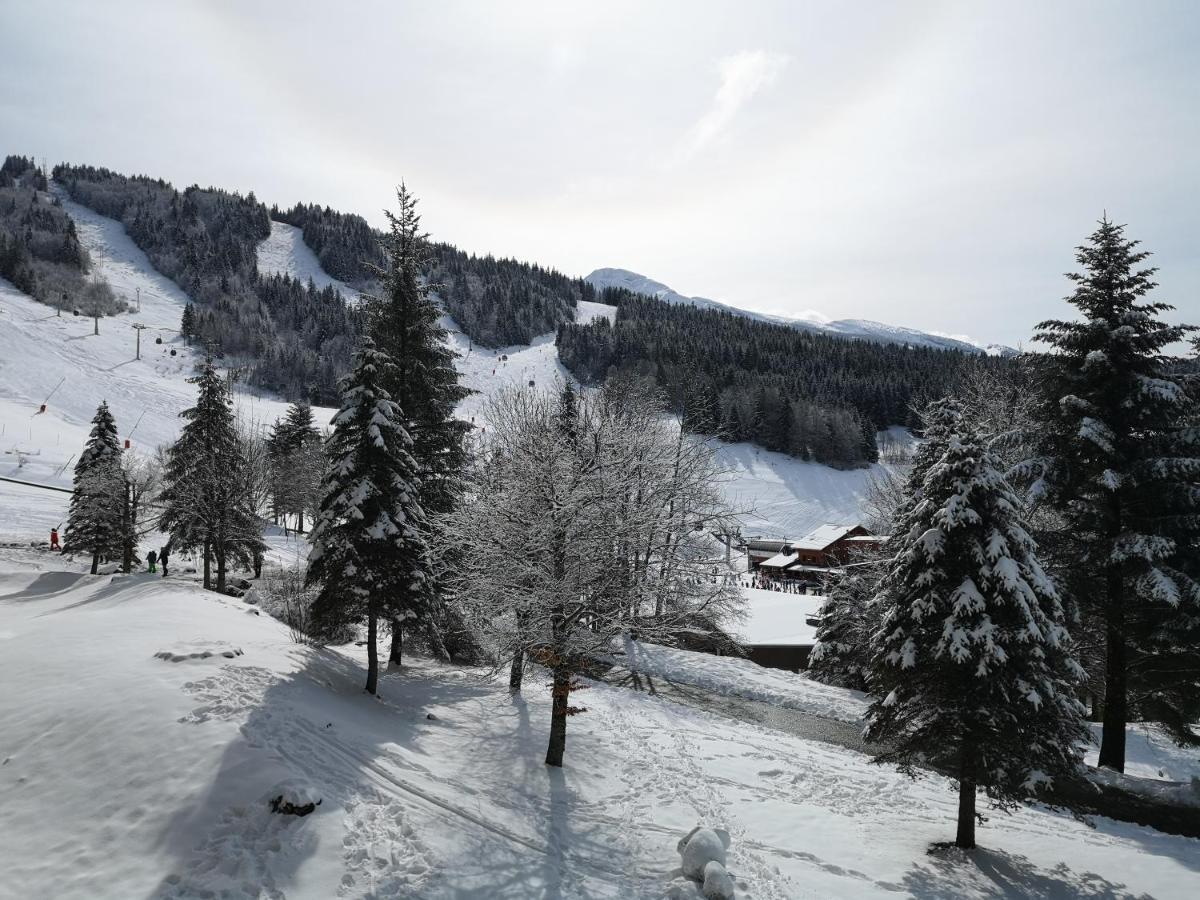 Le Balcon De Villard 外观 照片